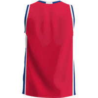 Colorado State Pueblo Thunderwolves GameDay Greats Lightweight Basketball Jersey - Blue